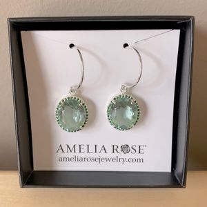 Amelia Rose earnings